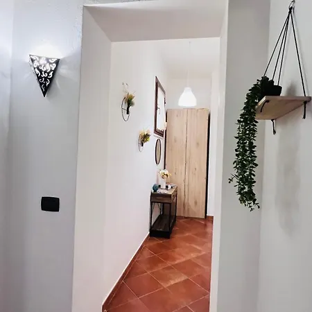 Kasa Magnisi *